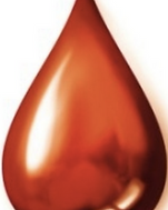 Schermafbeelding 2020-01-13 om 21.47.30.