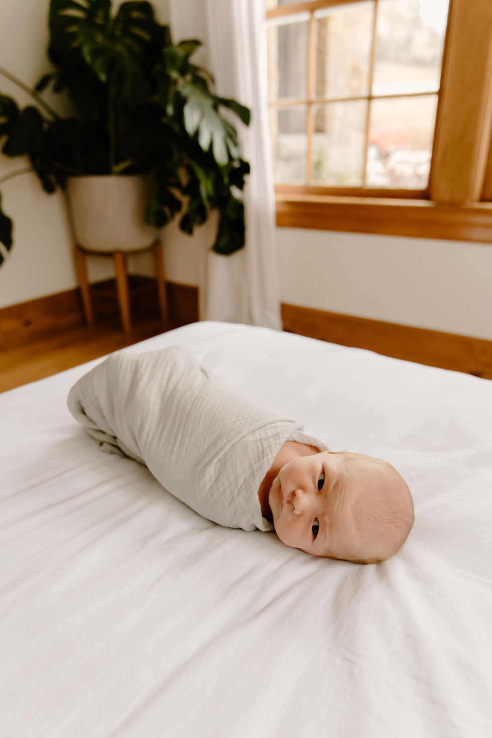 Sunrise Studio in Fayetteville, Arkansas owned by April Freckled Fox Photography Newborn Session Arkansas Wedding Photographer