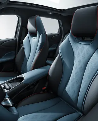byd-dolphin-vegan-seats.webp