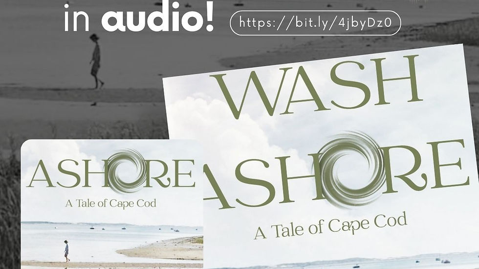 Wash Ashore Audio