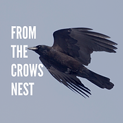 Flying crow sign up sheet