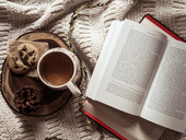 News From The Crow's Nest: Sea Crow Press Spring 2025 Update