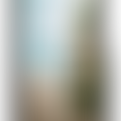 Cover of Dear Missing Friend