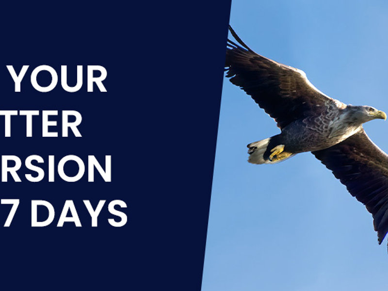 Program poster for Be Your Better Version in 7 Days