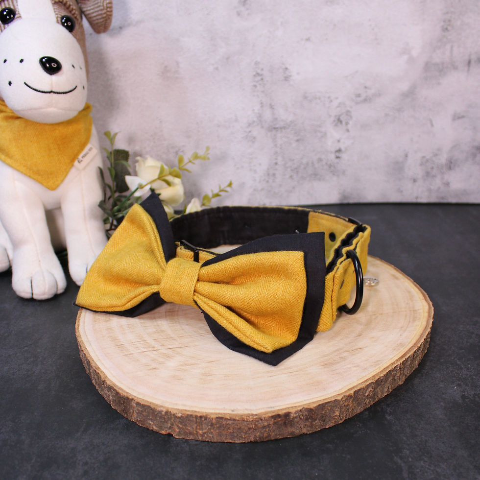 Thumbnail: Herringbone Mustard Bow