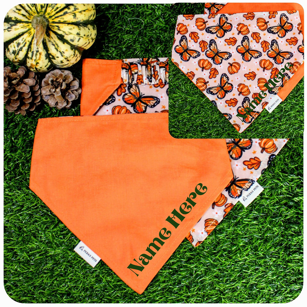 Thumbnail: Butterfly Fall Stretchy Bandana