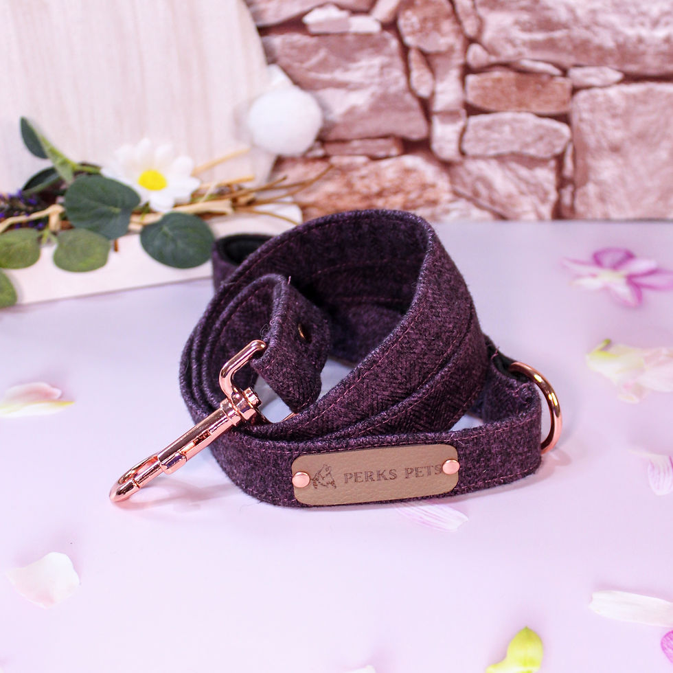 Thumbnail: Purple Herringbone Tweed Lead