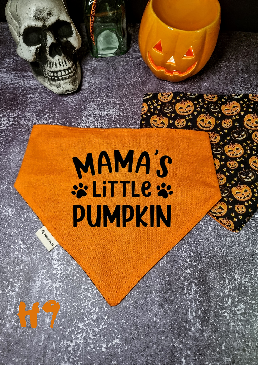Thumbnail: Pumpkin Patch Stretchy Bandana