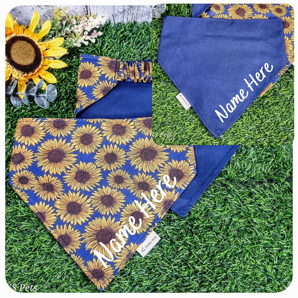 Thumbnail: Sunflowers Stretchy Bandana