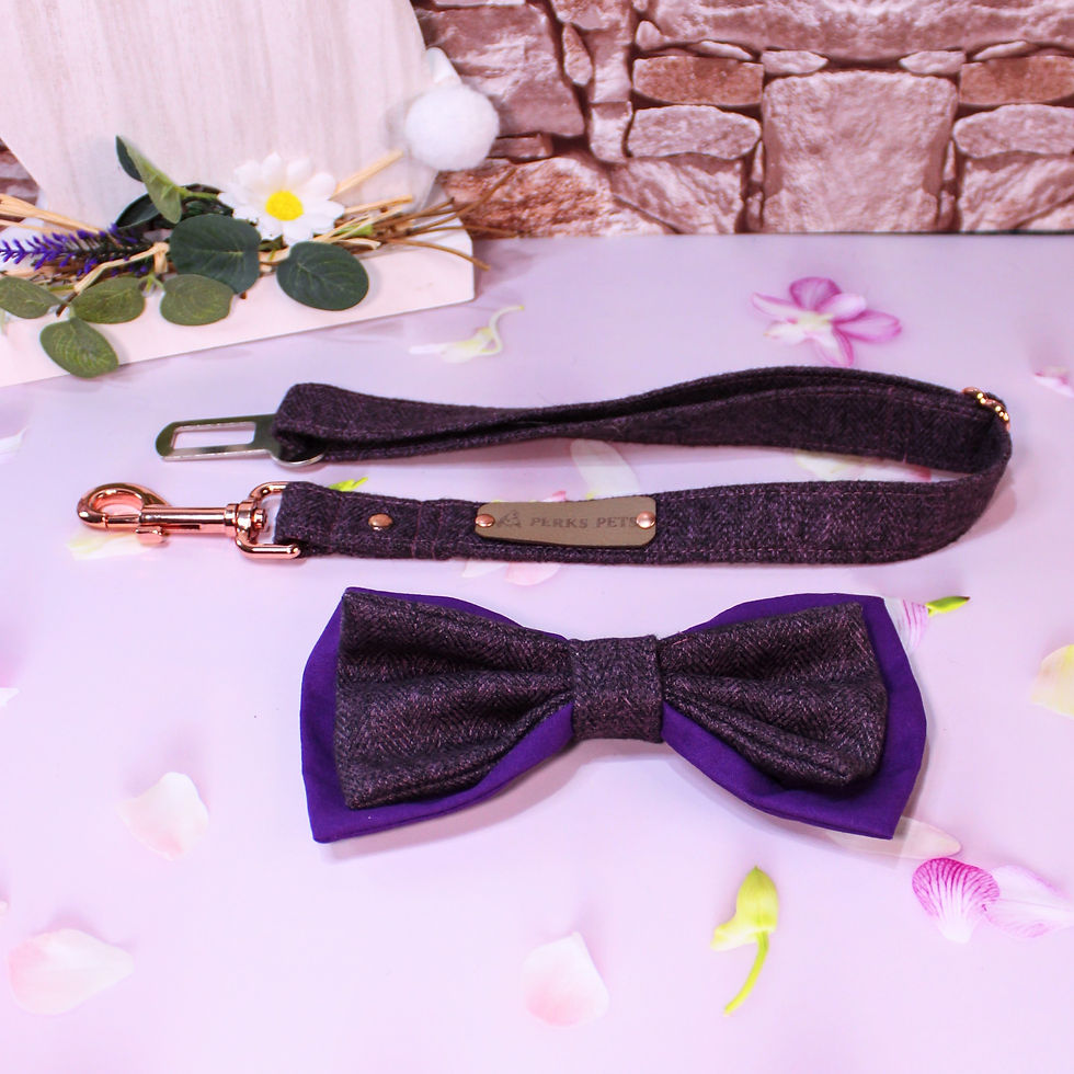 Thumbnail: Herringbone Purple Bow