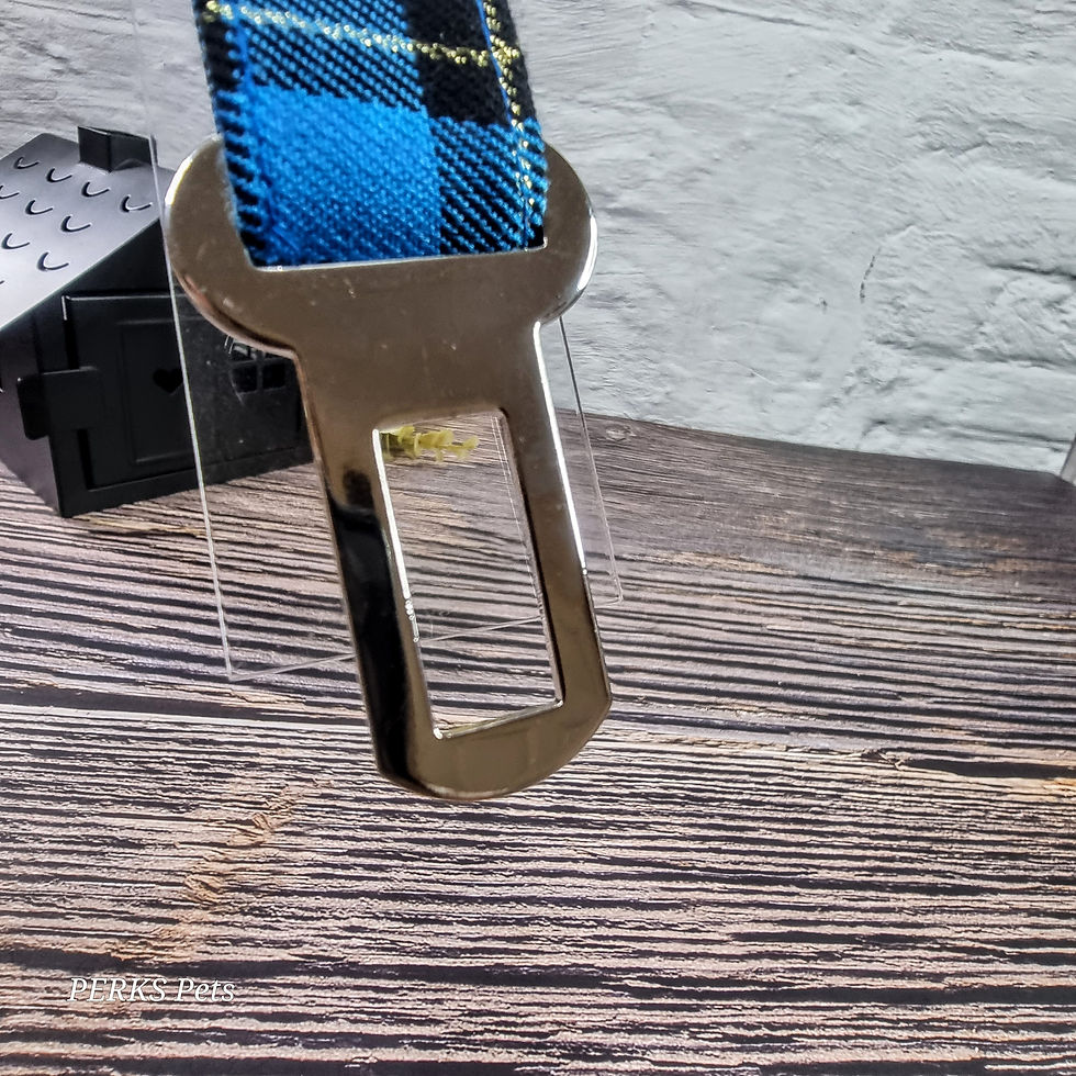 Thumbnail: Tartan Bling Turquoise Clip-in Dog Seatbelt
