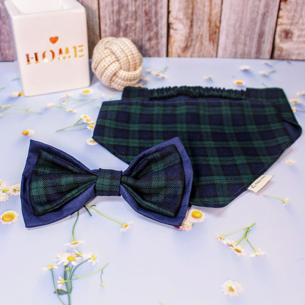 Thumbnail: Black Watch Tartan Bow