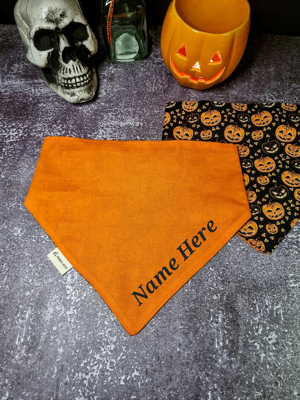 Thumbnail: Pumpkin Patch Stretchy Bandana