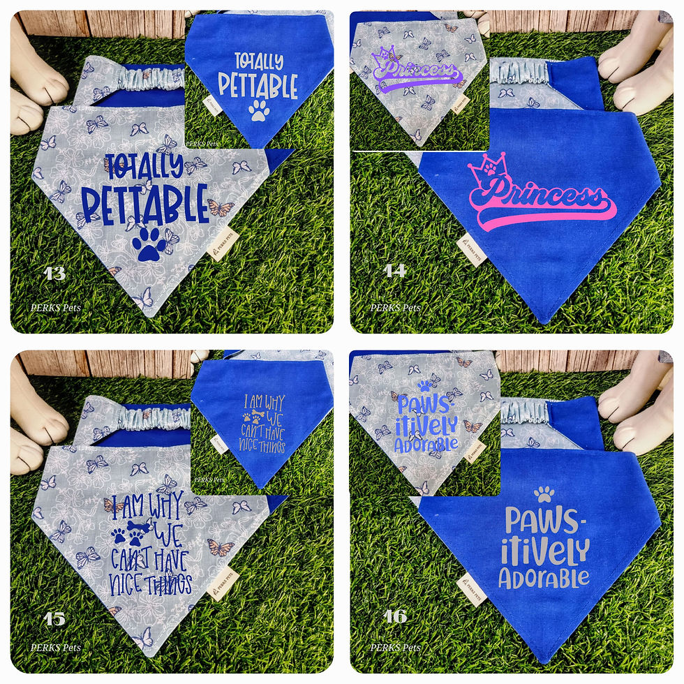 Thumbnail: Papi's Flutterbies Stretchy Bandana