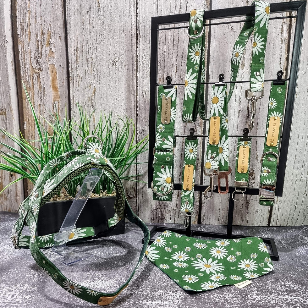 Thumbnail: Daisy Field Martingale Collar