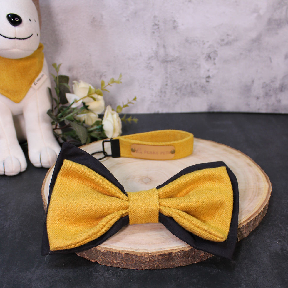 Thumbnail: Herringbone Mustard Bow