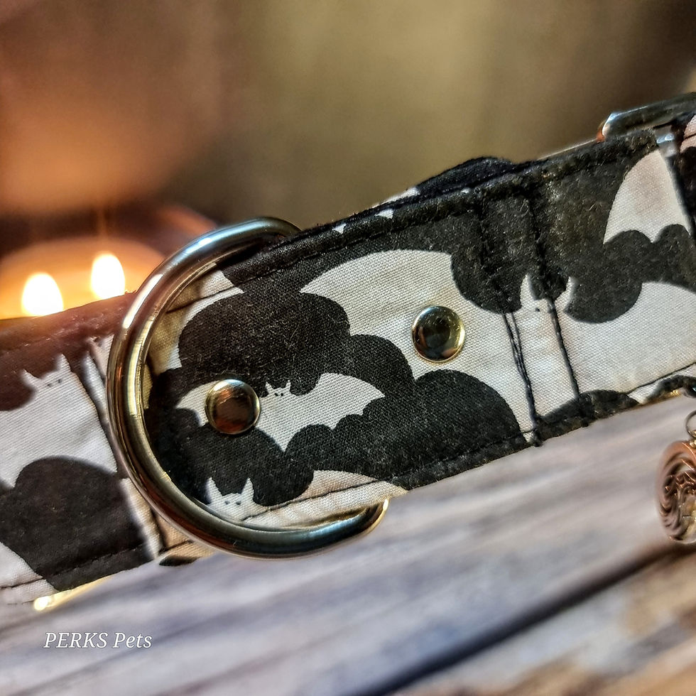 Thumbnail: Cauldron of Bats Martingale Collar