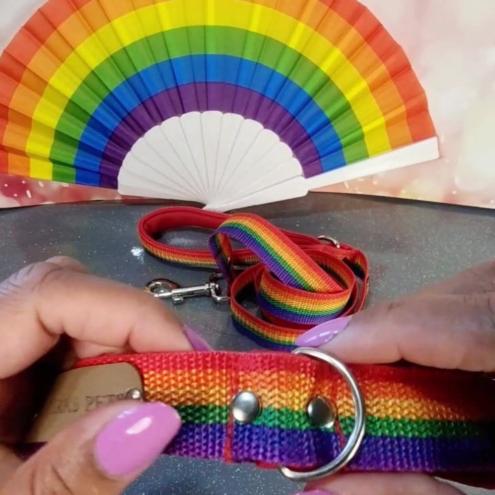 Thumbnail: Rainbow Pride Lead