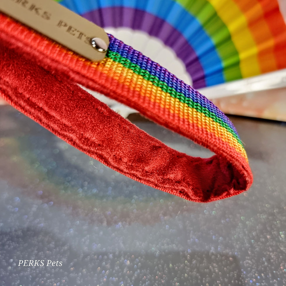 Thumbnail: Rainbow Pride Wristlet