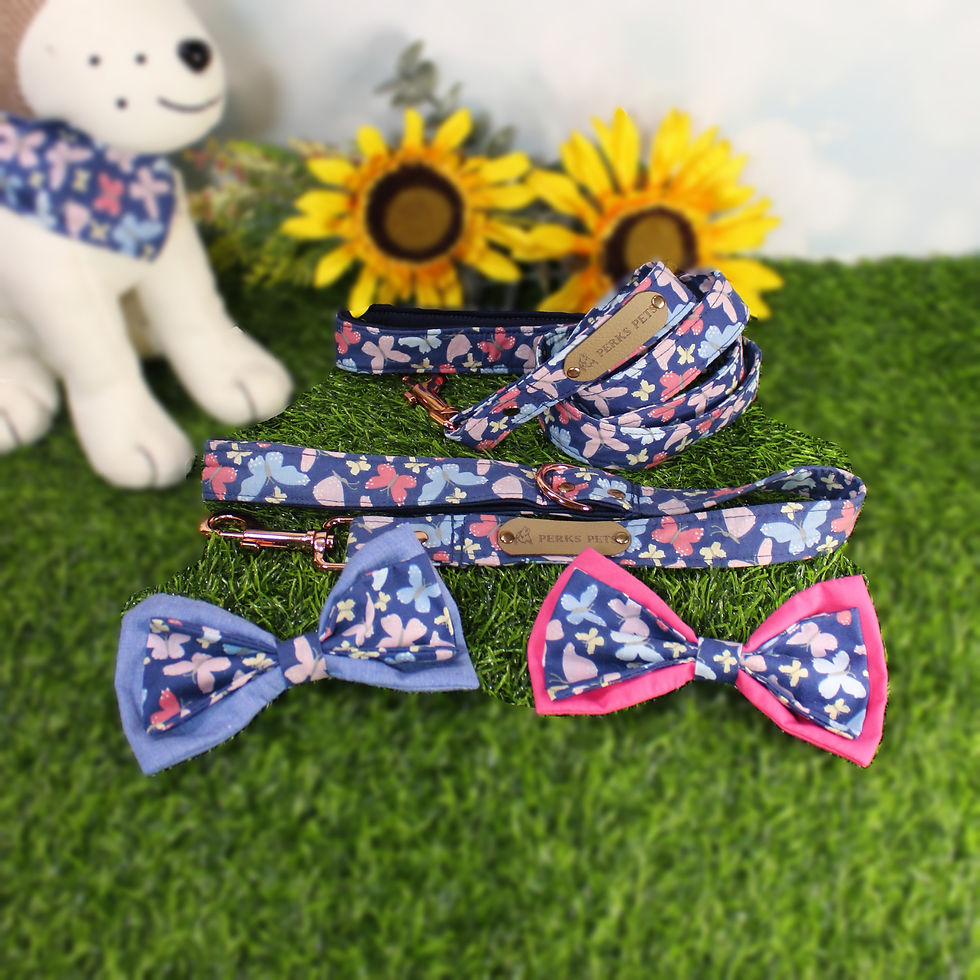 Thumbnail: Flurry of Butterflies Bow