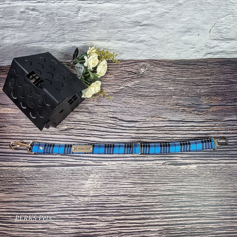 Thumbnail: Tartan Bling Turquoise Clip-in Dog Seatbelt