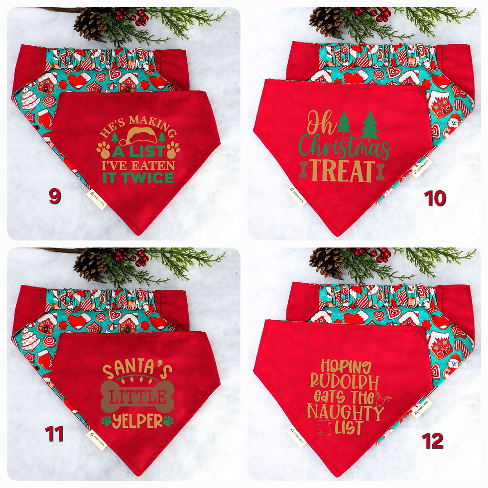 Thumbnail: North Pole Stretchy Bandana