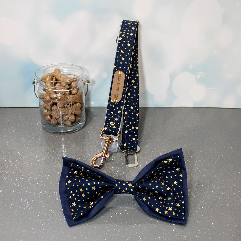 Thumbnail: Starry Night Bow