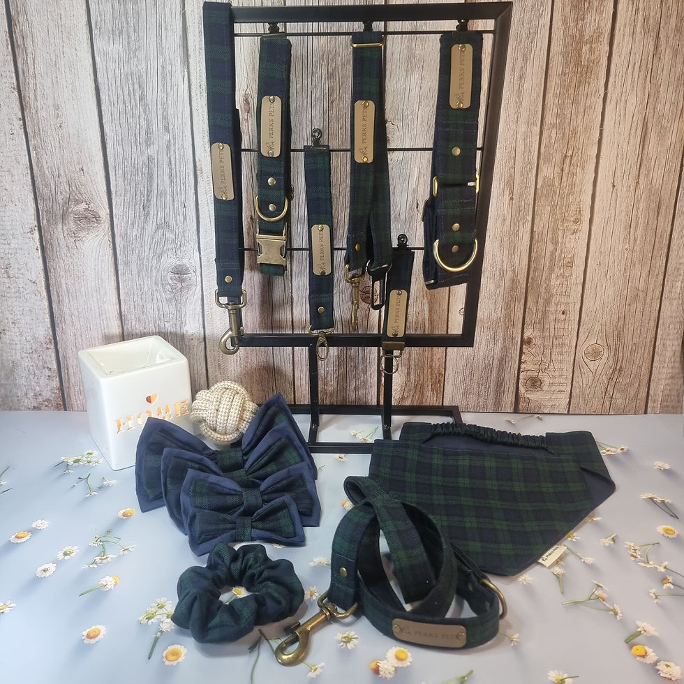 Thumbnail: Black Watch Tartan Bow