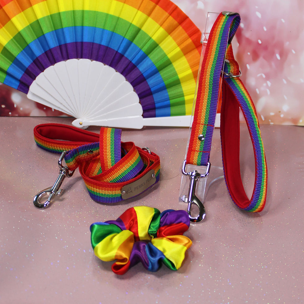 Thumbnail: Rainbow Pride Scrunchie
