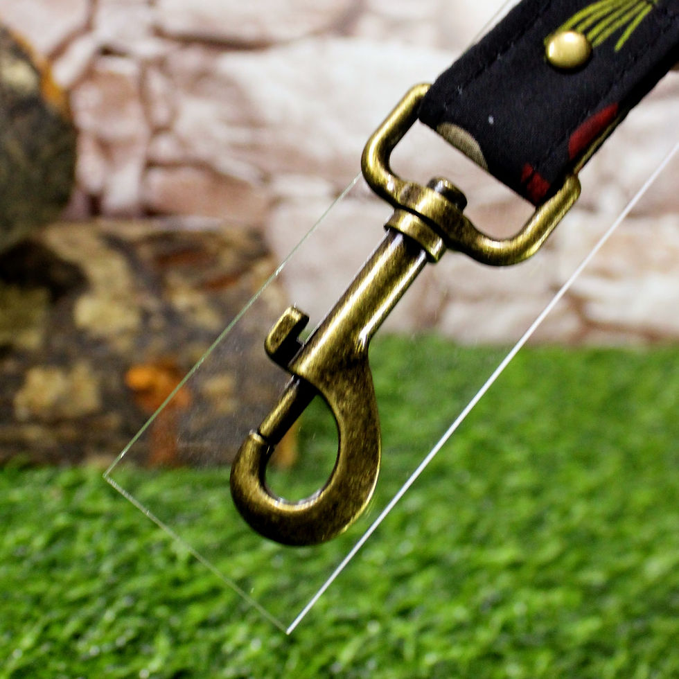 Thumbnail: Fall Funghi Lead