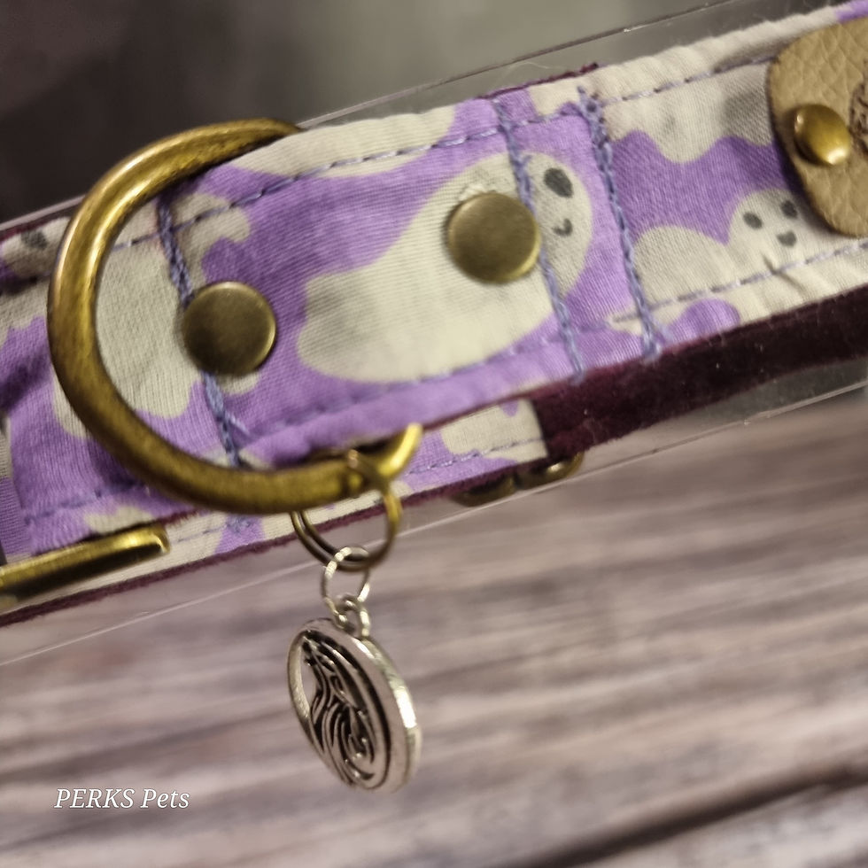 Thumbnail: Purple Ghosties Adjustable Collar