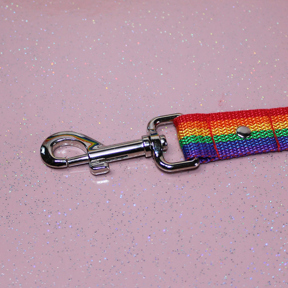 Thumbnail: Rainbow Pride Wristlet