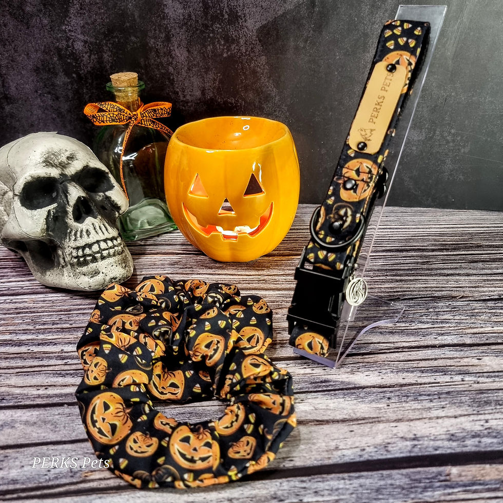 Thumbnail: Pumpkin Patch Scrunchie