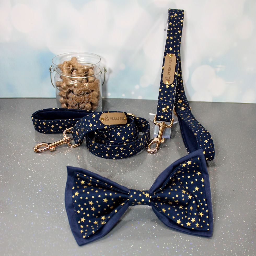 Thumbnail: Starry Night Bow