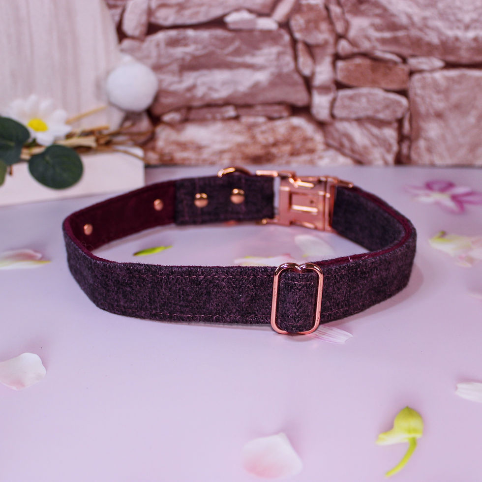 Thumbnail: Purple Herringbone Tweed Adjustable Collar