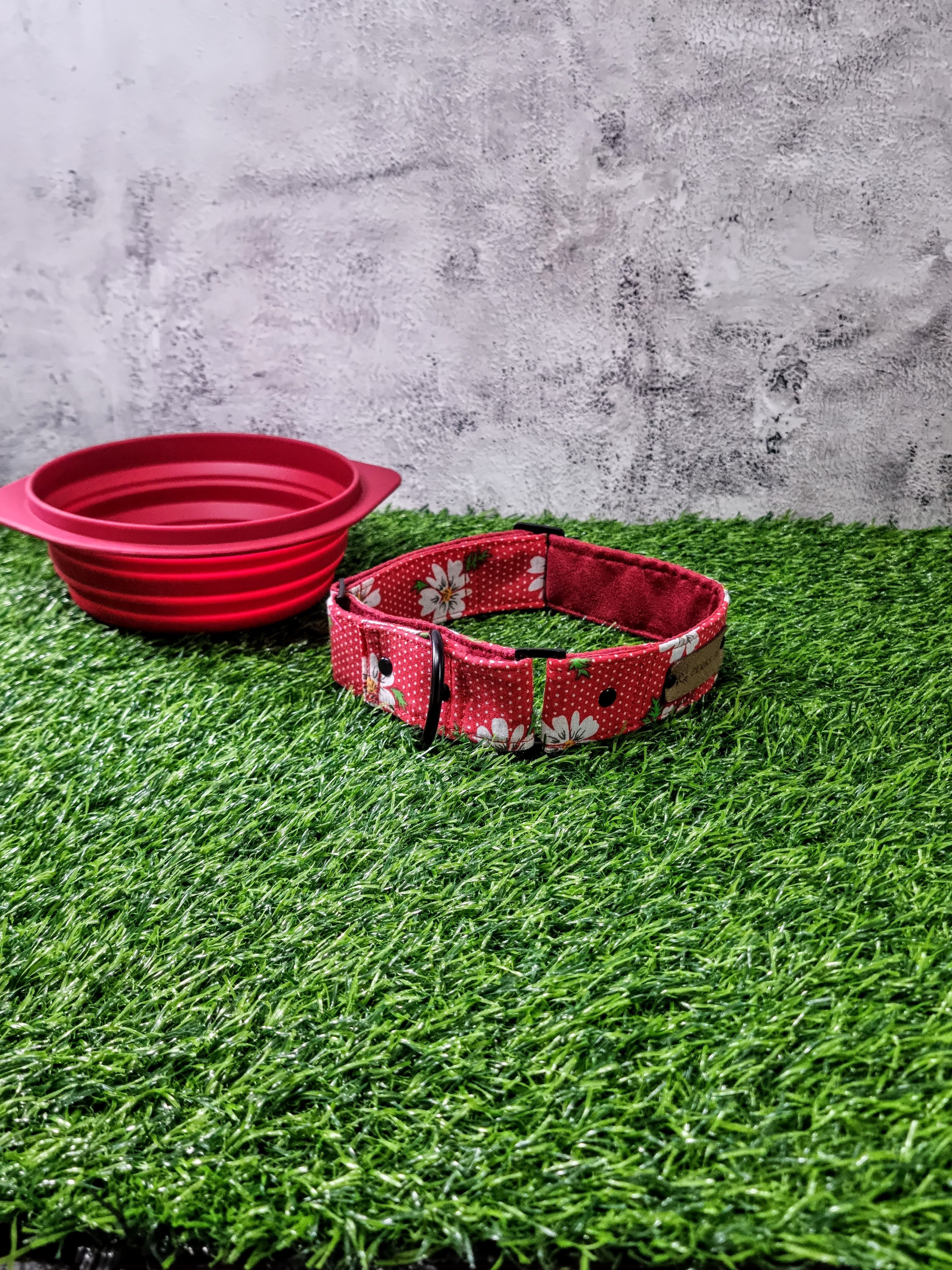 Dotty Daisies Martingale Collar