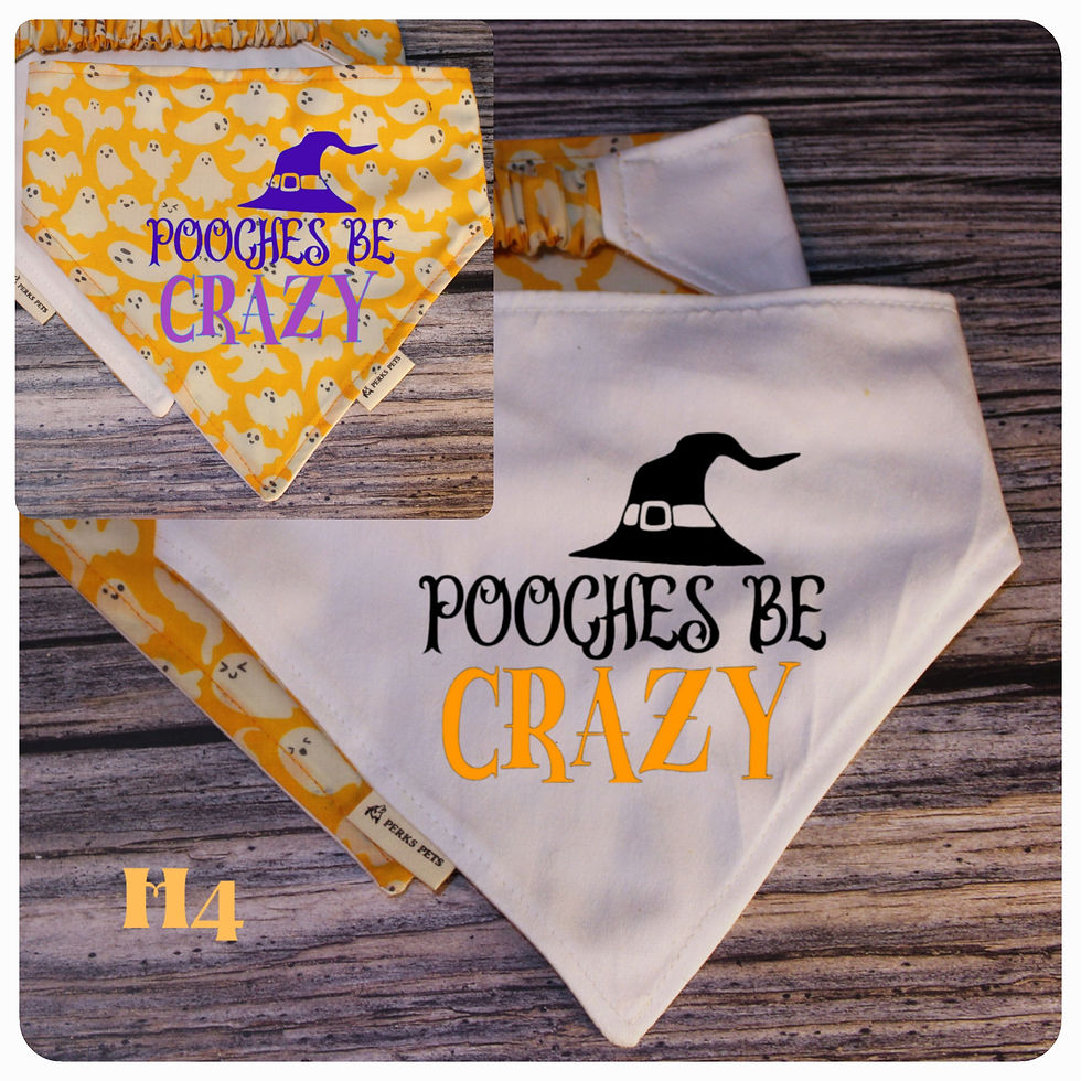 Thumbnail: Orange Ghosties Stretchy Bandana