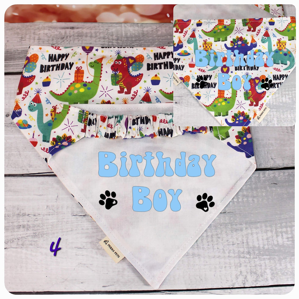 Thumbnail: Happy Dino Birthday Stretchy Bandana