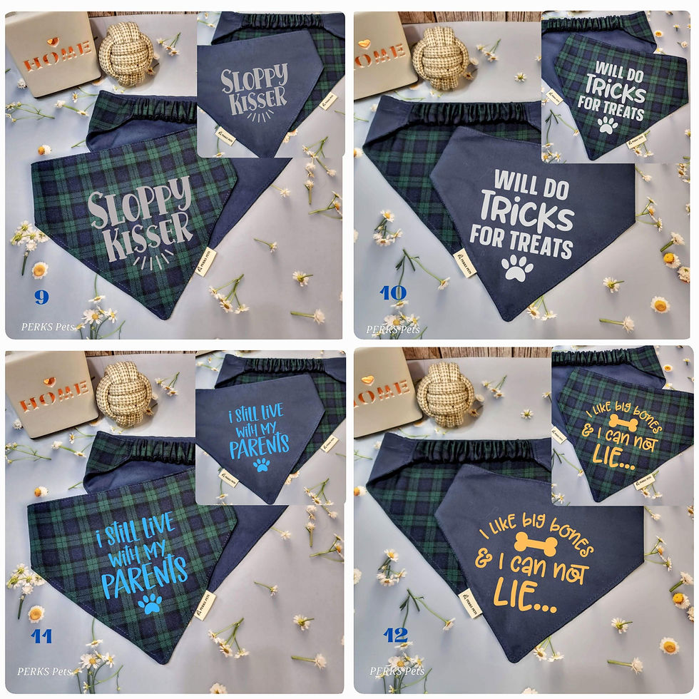 Thumbnail: Black Watch Tartan Stretchy Bandana