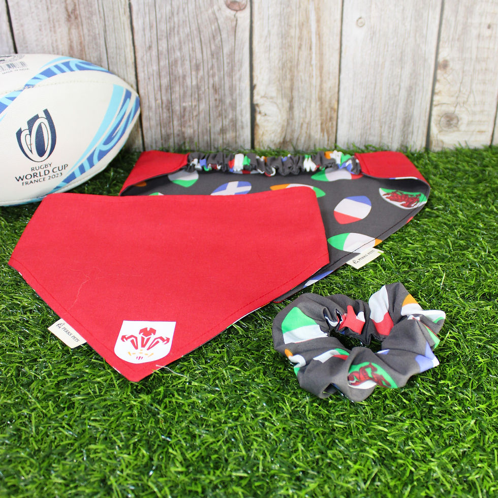 Thumbnail: Rugby Supporters' Scrunchie