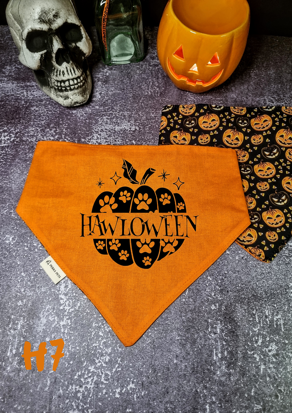 Thumbnail: Pumpkin Patch Stretchy Bandana