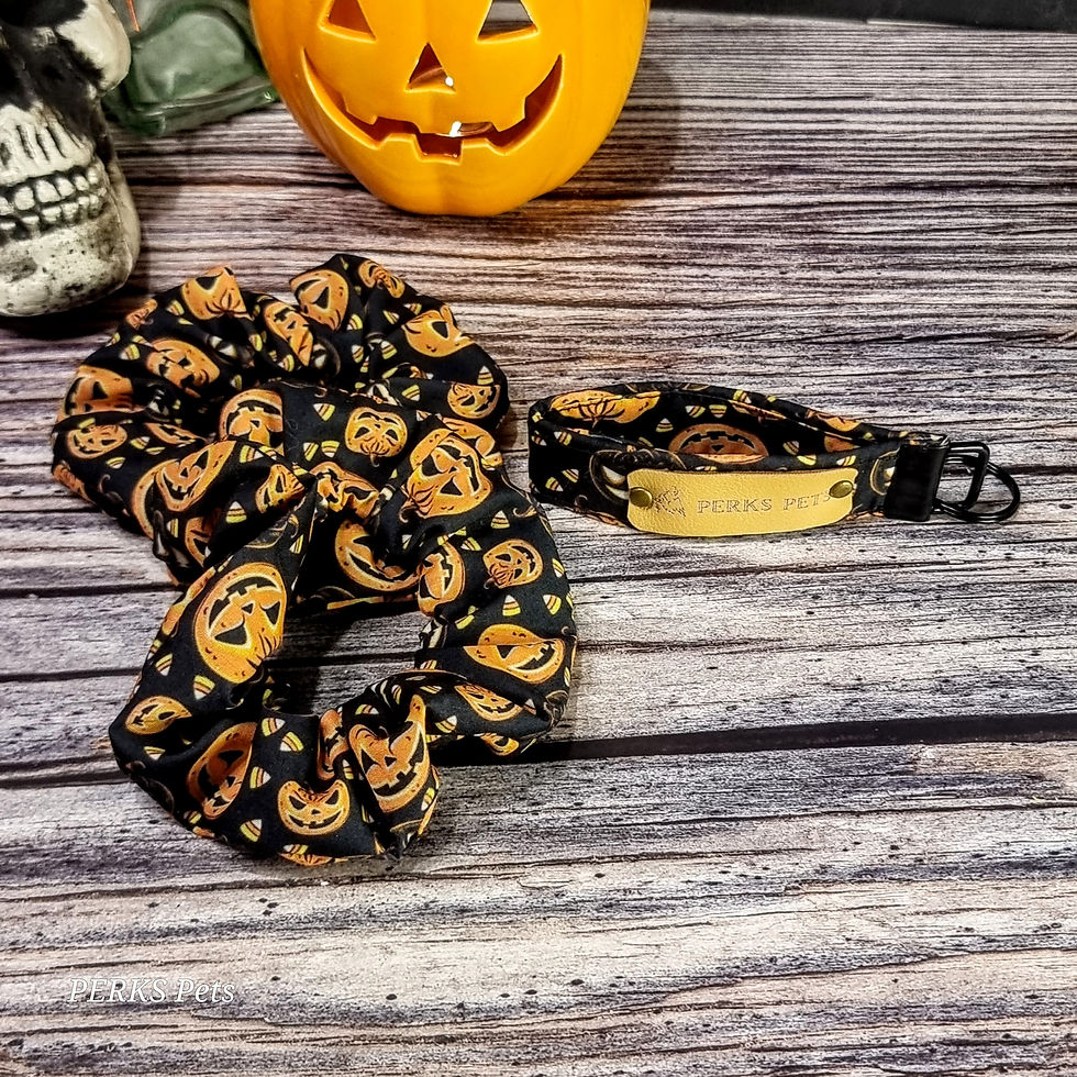 Thumbnail: Pumpkin Patch Scrunchie