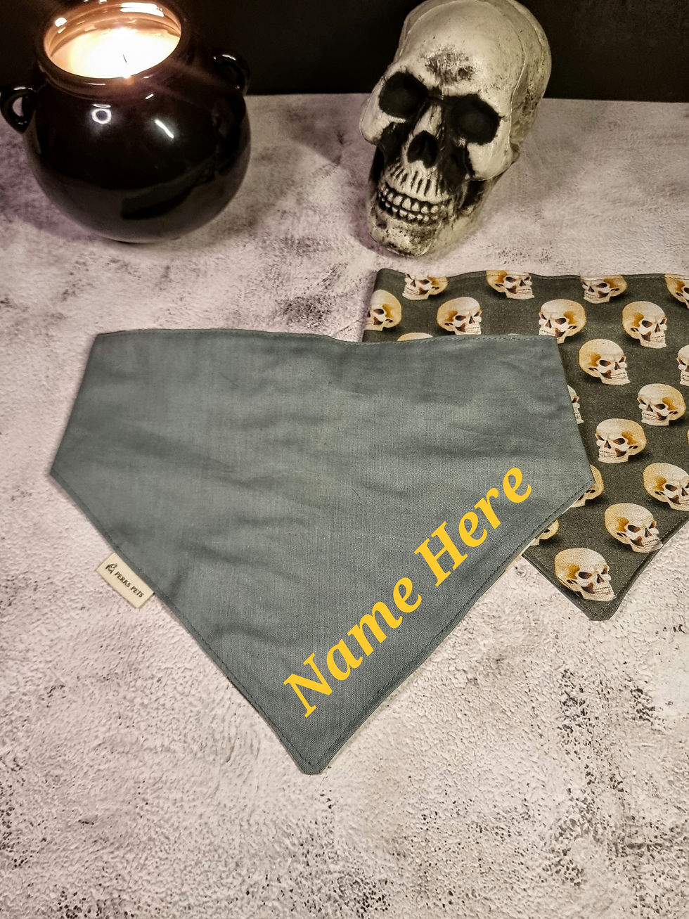 Thumbnail: Skull Row Stretchy Bandana