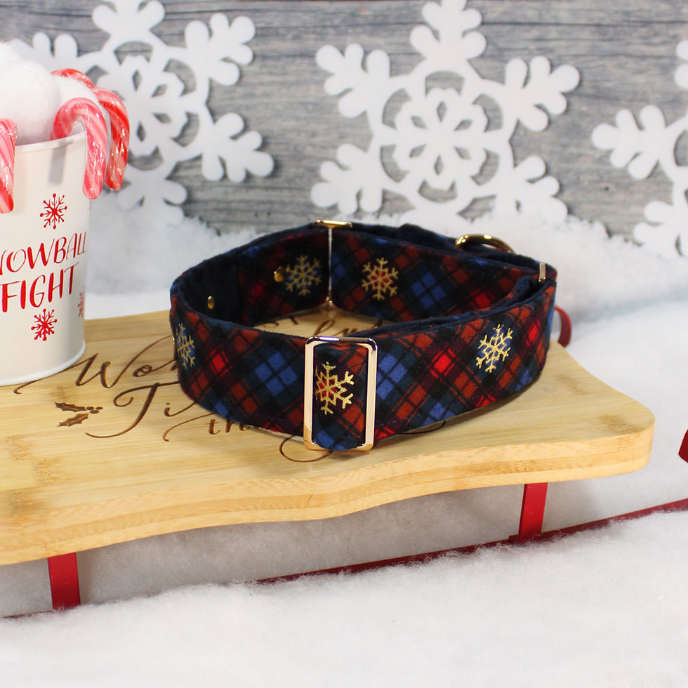 Thumbnail: Festive Plaid Blue Martingale Collar