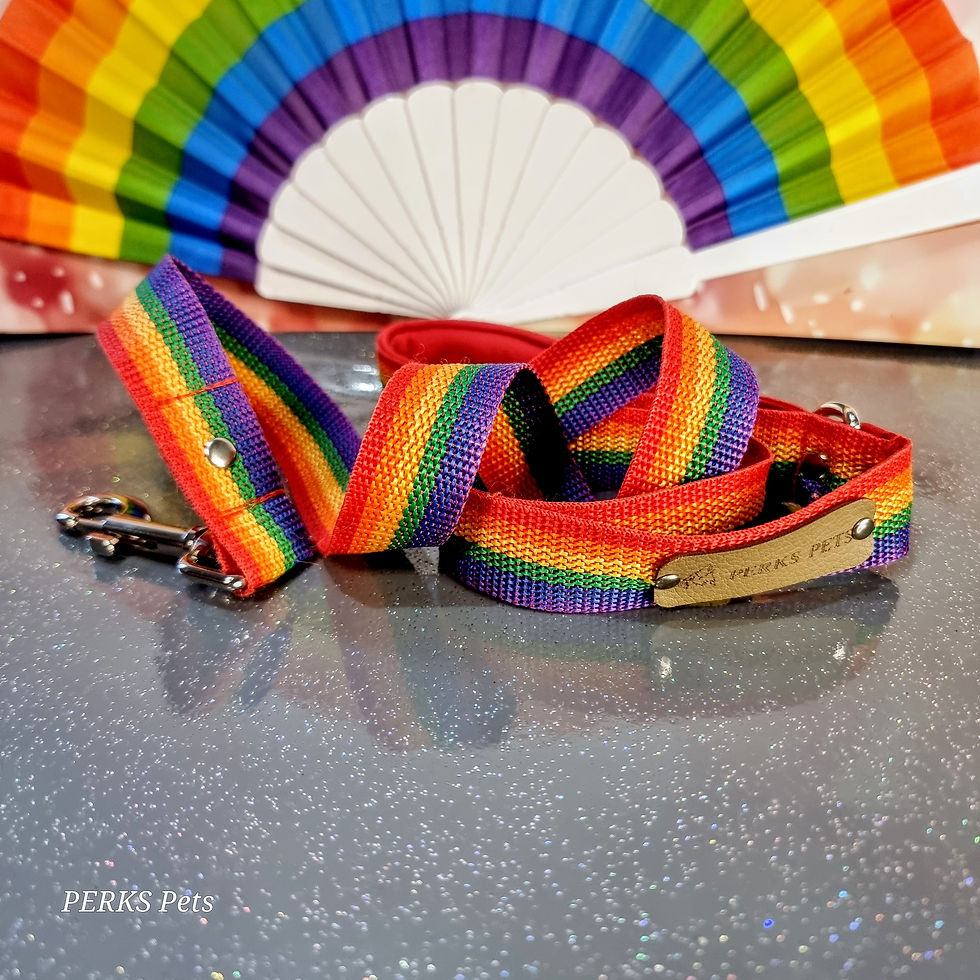 Thumbnail: Rainbow Pride Lead