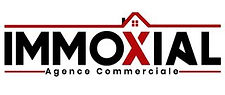 Logo immoxial petit 2.jpg