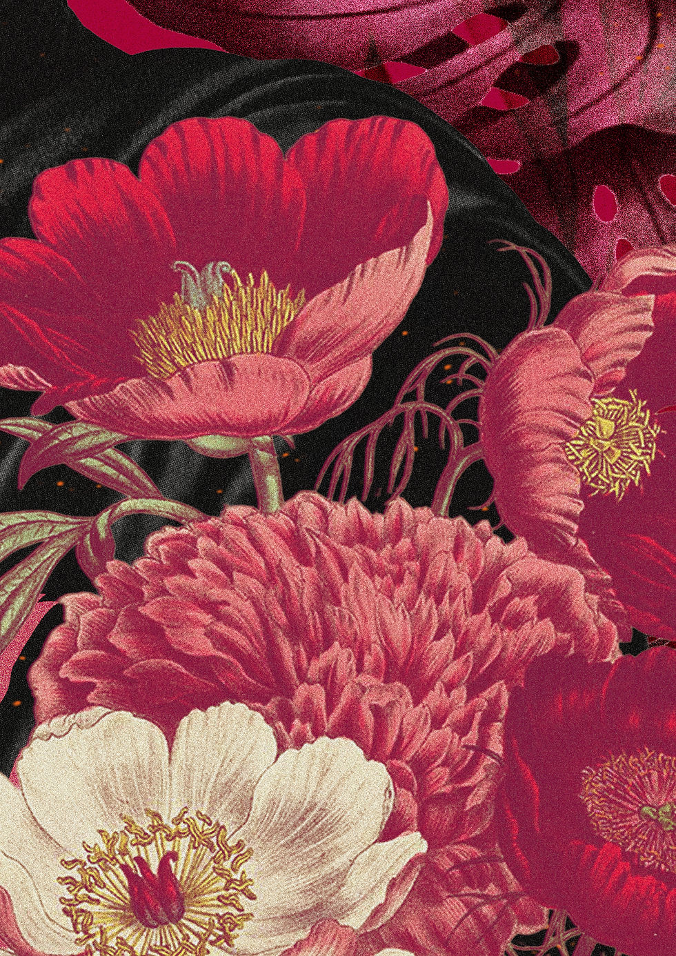 Combart 2026 - LIMPAS3.jpg