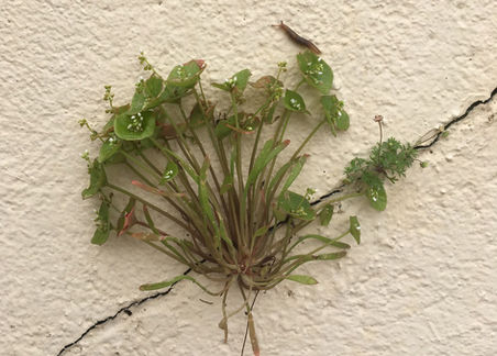 Call and Response: Changing the Climate