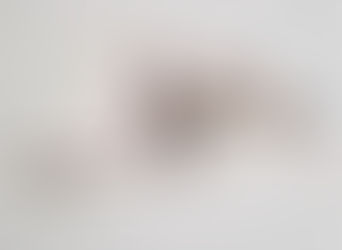 We Choose Art presents Shades of Water at The Montalban