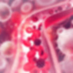 Image of blood cells flowing through a narrowed blood vessel.